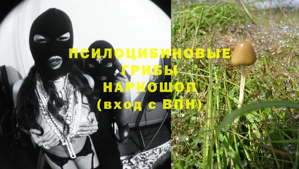 амф Абаза