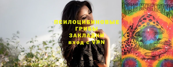 амф Абаза