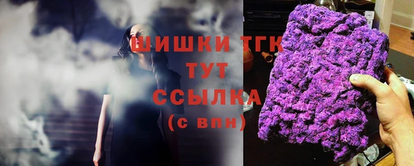 мет Алексин